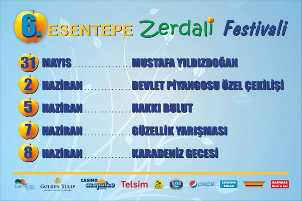 esentepe-belediyesiesentepefestival-afis-program-2013.jpg