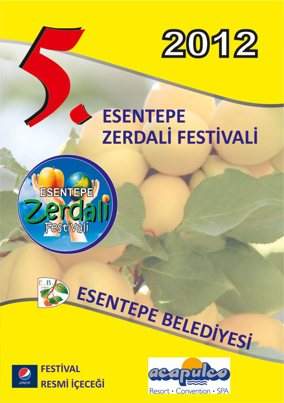 esentepe-zerdali-festivali-basladi